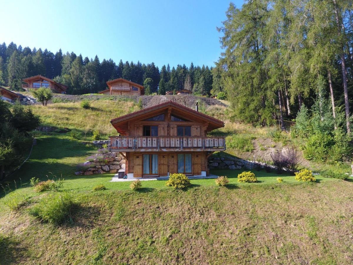 Chalet Chloe By Interhome Ovronnaz Zewnętrze zdjęcie